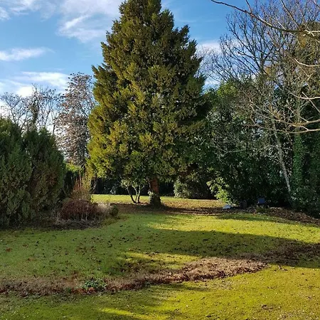 Les Sequoias * Sauveterre-de-Guyenne