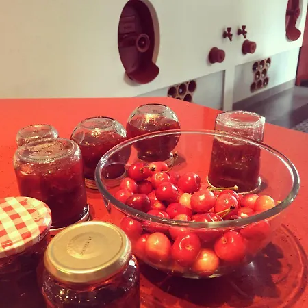 Pensionat Les Sequoias *