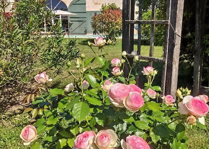 Les Sequoias ゲストハウス