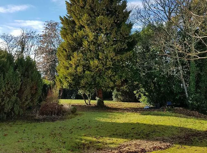 Les Sequoias * Sauveterre-de-Guyenne
